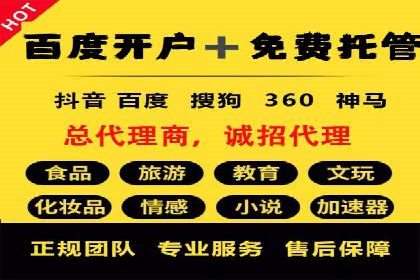 某行业SEM主管的优化策略与成果展示